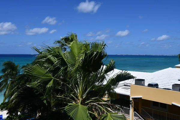 Grand Cayman Cayman Islands Feb Grand Cayman Marriott Beach Resort — 图库照片