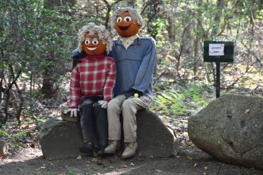 Pumpkintown The Ride in East Hampton, Connecticut, 3 Ekim 2022 'de görüldüğü gibi..