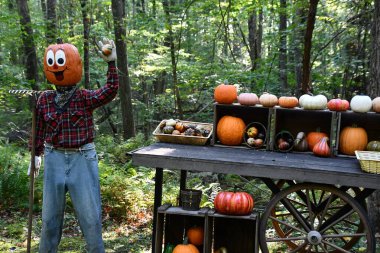 Pumpkintown The Ride in East Hampton, Connecticut, 3 Ekim 2022 'de görüldüğü gibi..