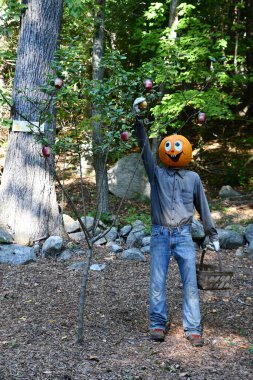 Pumpkintown The Ride in East Hampton, Connecticut, 3 Ekim 2022 'de görüldüğü gibi..