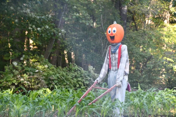 Pumpkintown The Ride in East Hampton, Connecticut, 3 Ekim 2022 'de görüldüğü gibi..