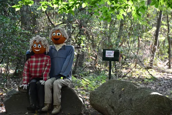 Pumpkintown The Ride in East Hampton, Connecticut, 3 Ekim 2022 'de görüldüğü gibi..