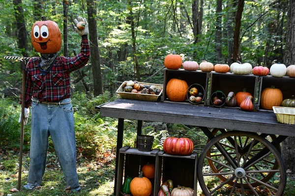 Pumpkintown The Ride in East Hampton, Connecticut, 3 Ekim 2022 'de görüldüğü gibi..