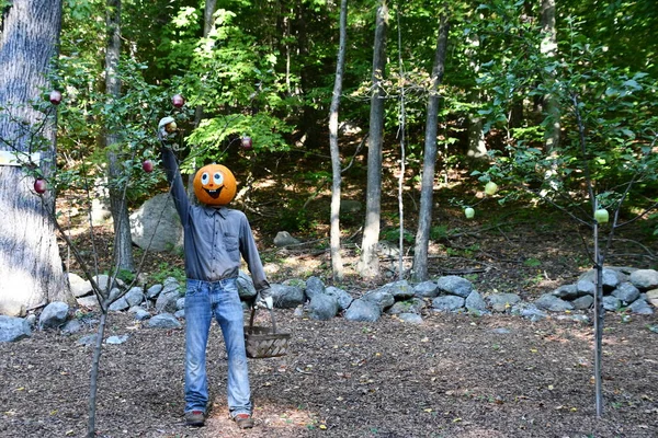 Pumpkintown The Ride in East Hampton, Connecticut, 3 Ekim 2022 'de görüldüğü gibi..