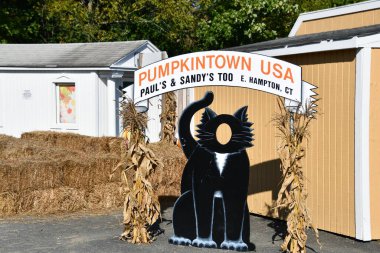 EAST HAMPTON CT - 3 Ekim 2022 'de görüldüğü gibi, Doğu Hampton, Connecticut' taki The Village.