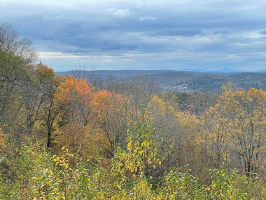 Goshen, Connecticut 'ta Mohawk Overlook' dan Sonbahar Renkleri