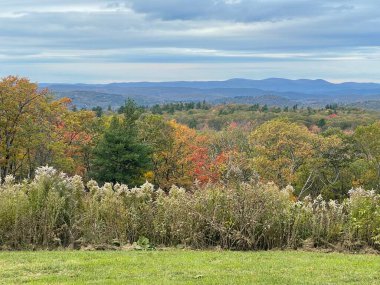 Goshen, Connecticut 'ta Mohawk Overlook' dan Sonbahar Renkleri