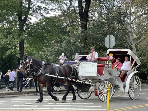 2021年10月16日在纽约市中央公园看到的马车 — 图库照片