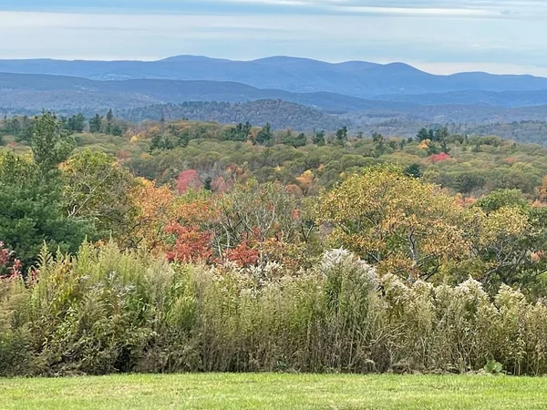 Goshen, Connecticut 'ta Mohawk Overlook' dan Sonbahar Renkleri