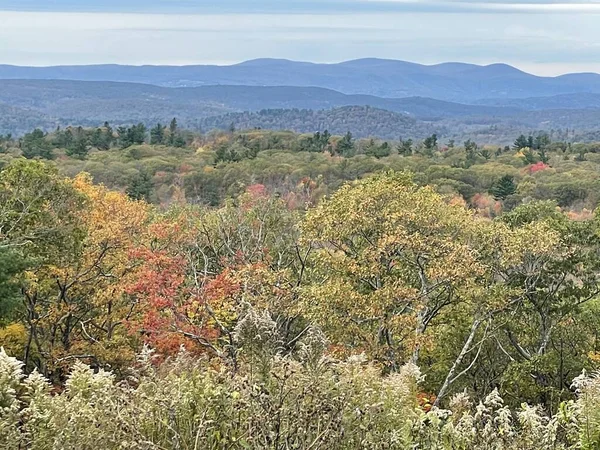 Goshen, Connecticut 'ta Mohawk Overlook' dan Sonbahar Renkleri