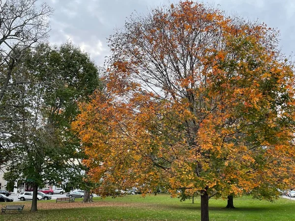 Осенние Цвета Литчфилде Коннектикут — стоковое фото