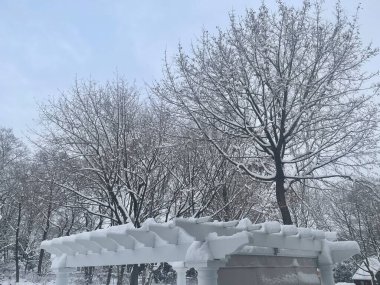 Connecticut 'ta Kış Karlı Günü