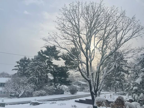 康涅狄格州冬季雪日 — 图库照片