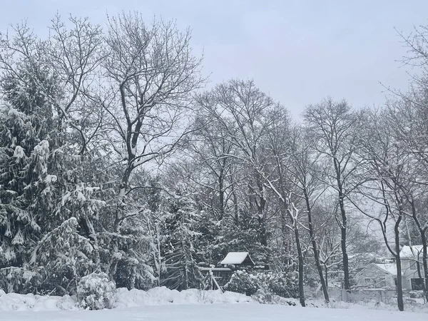 Winter Snowy Day Connecticut — стокове фото