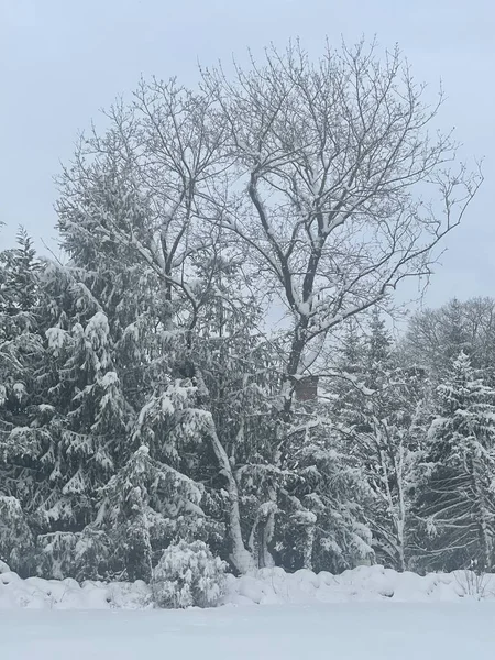 康涅狄格州冬季雪日 — 图库照片