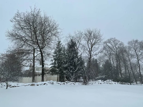 Winter Snowy Day Connecticut — Stockfoto