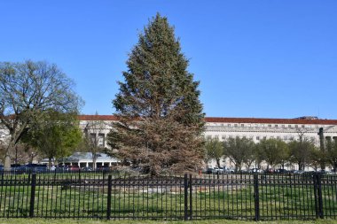 WASHINGTON DC - 2 Nisan 2021 'de görüldüğü üzere Washington DC' de şehir çevresinde.