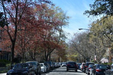 WASHINGTON DC - 2 Nisan 2021 'de görüldüğü üzere Washington DC' de şehir çevresinde.