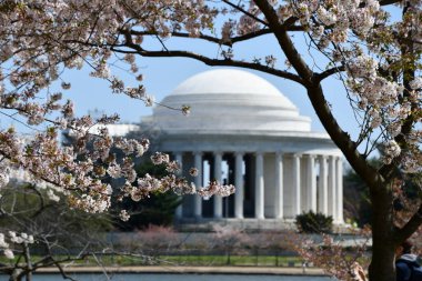 WASHINGTON DC - 4 Nisan 2021 'de Washington DC' de görülen Thomas Jefferson Memorial.
