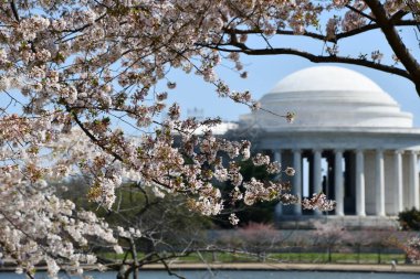 WASHINGTON DC - 4 Nisan 2021 'de Washington DC' de görülen Thomas Jefferson Memorial.
