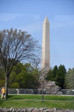 WASHINGTON DC - 5 Nisan 2021 'de Washington DC' deki Washington Anıtı.