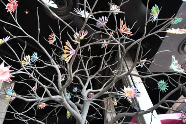 WASHINGTON DC - 5 Nisan 2022 'de Washington' daki Bölge Rıhtımı 'ndaki Dükkan ve Restoranlarda Mi Vida Restoranı.