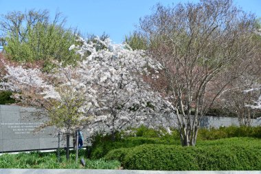 WASHINGTON, DC - 5 Nisan 2021 'de Washington, DC' de görülen Martin Luther King Jr. Bu anma töreni, Ulusal AVM 'de ya da yakınında bir anma töreniyle onurlandırılan ilk Afrika kökenli Amerikalı..