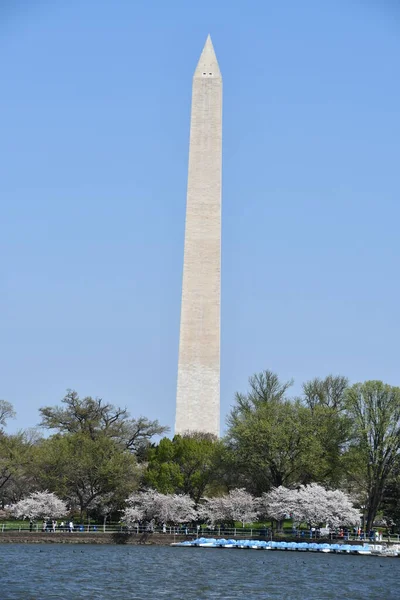 Washington Apr Monumentul Washington Din Washington Așa Cum Vede Aprilie — Fotografie, imagine de stoc