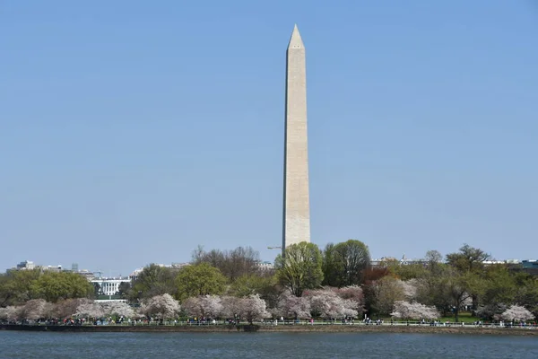 Washington Apr Пам Ятник Вашингтону Вашингтоні Округ Колумбія Видно Квітня — стокове фото