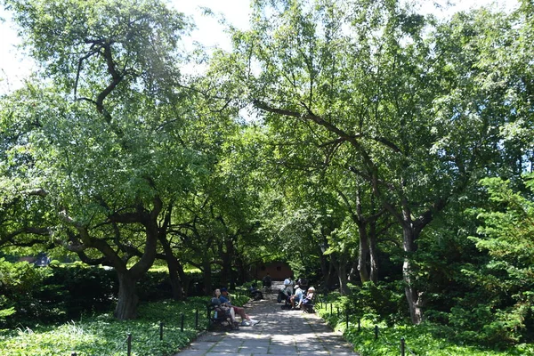 Нью Йорк Нью Йорк Мая Сад Консерватории Центральном Парке Нью — стоковое фото