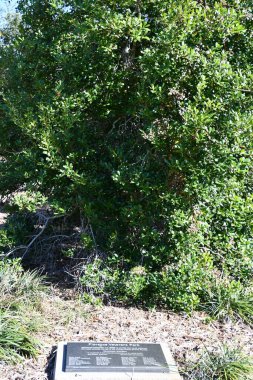FLORENCE SC - NOV 20: Veterans Park in Florence, South Carolina, as seen on Nov 20, 2021.