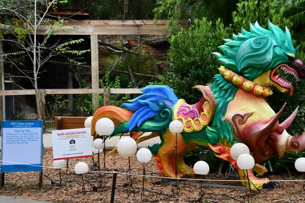 Orlando Nov Asiatisches Laternenfest Central Florida Zoo Und Botanischen Garten — Stockfoto