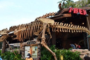 ORLANDO FL - NOV 21: T-Rex Kafe Orlando, Florida 'daki Disney Springs' de, 21 Kasım 2021 'de görüldüğü gibi.