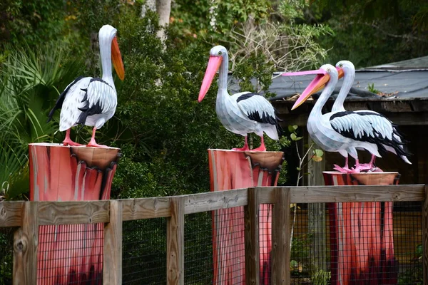 Orlando Nov Asian Lantern Festival Central Florida Zoo Botanical Gardens — Stock Photo, Image