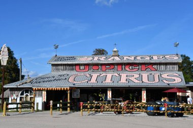 CLERMONT FL - 25 Kasım 2021 'de Clermont, Florida' da görülen Citrus Şovu.