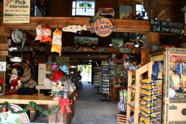 CLERMONT FL - 25 Kasım 2021 'de Clermont, Florida' da görülen Citrus Şovu.