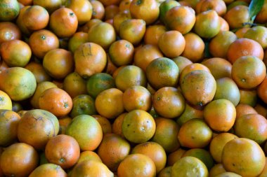CLERMONT FL - 25 Kasım 2021 'de Clermont, Florida' da görülen Citrus Şovu.