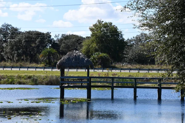 Clermont Kasım 2021 Clermont Florida Görülen Citrus Şovu — Stok fotoğraf