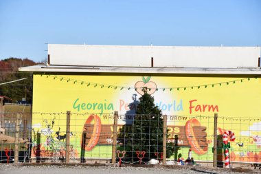 TOWNSEND GA - 27 Kasım 2022 'de Gürcistan' ın Townsend kentindeki Gürcistan Şeftali Dünyası Çiftliği.