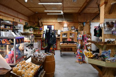 TOWNSEND GA - 27 Kasım 2022 'de Gürcistan' ın Townsend kentindeki Georgia Peach Dünya Çiftliği 'nde görüldü..