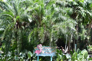 DAVIE FL - AUG 5: Flamingo Gardens in Davie, Florida, as seen on Aug 5, 2022.
