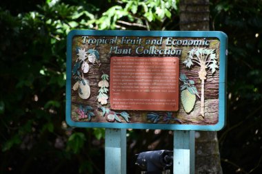 DAVIE FL - AUG 5: Flamingo Gardens in Davie, Florida, as seen on Aug 5, 2022.