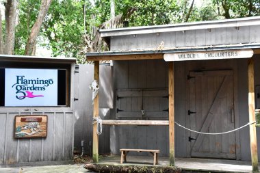 DAVIE FL - AUG 5: Wildlife Encounter Show at Flamingo Gardens in Davie, Florida, as seen on Aug 5, 2022.