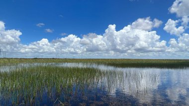 Sawgrass Recreation Park at The Everglades National Park in Fort Lauderdale Florida