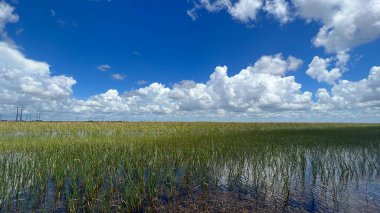 Sawgrass Recreation Park at The Everglades National Park in Fort Lauderdale Florida