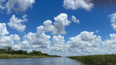 Sawgrass Recreation Park at The Everglades National Park in Fort Lauderdale Florida