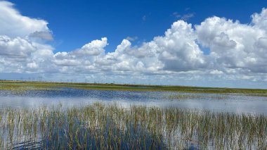 Sawgrass Recreation Park at The Everglades National Park in Fort Lauderdale Florida