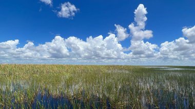 Sawgrass Recreation Park at The Everglades National Park in Fort Lauderdale Florida