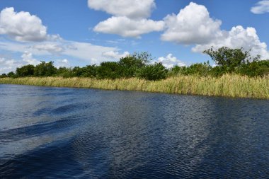Sawgrass Recreation Park at The Everglades National Park in Fort Lauderdale Florida