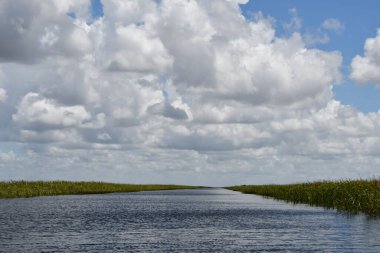 Sawgrass Recreation Park at The Everglades National Park in Fort Lauderdale Florida